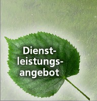 Dienstleistungsangebot von Lindenthal.com